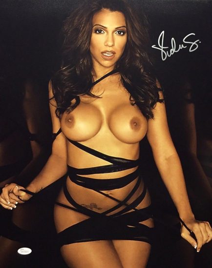 Vida Guerra tits