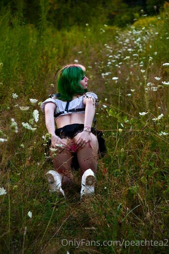 peachtea2 Nude Leaks OnlyFans Photo 11