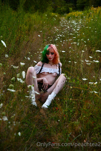 peachtea2 Nude Leaks OnlyFans Photo 13